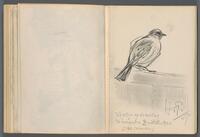 KT 2004 120
<br/>
Schetsboek
<br/>
<em>Prenen, Harry (1915-1992)</em>